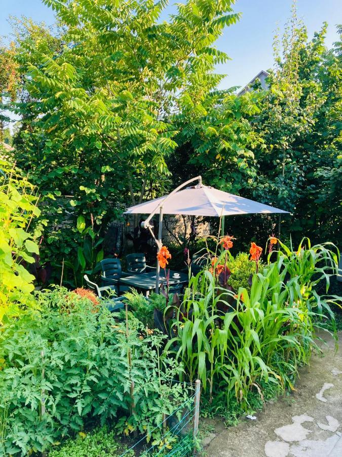 Guest House Barbi Batumi Exterior photo